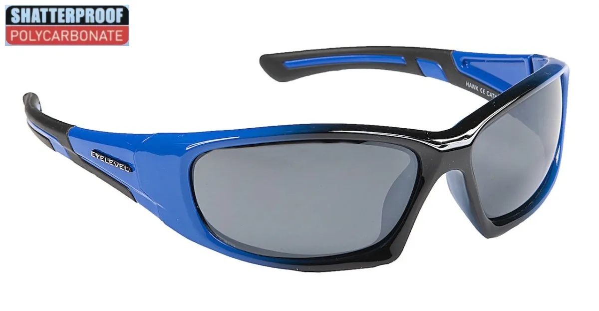 Hawk - RRP £11.99