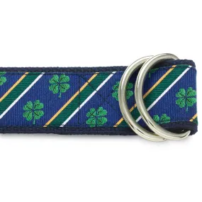 Killarney - D-Ring Belts